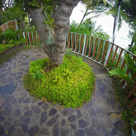 Hotel Villa Paraiso-2